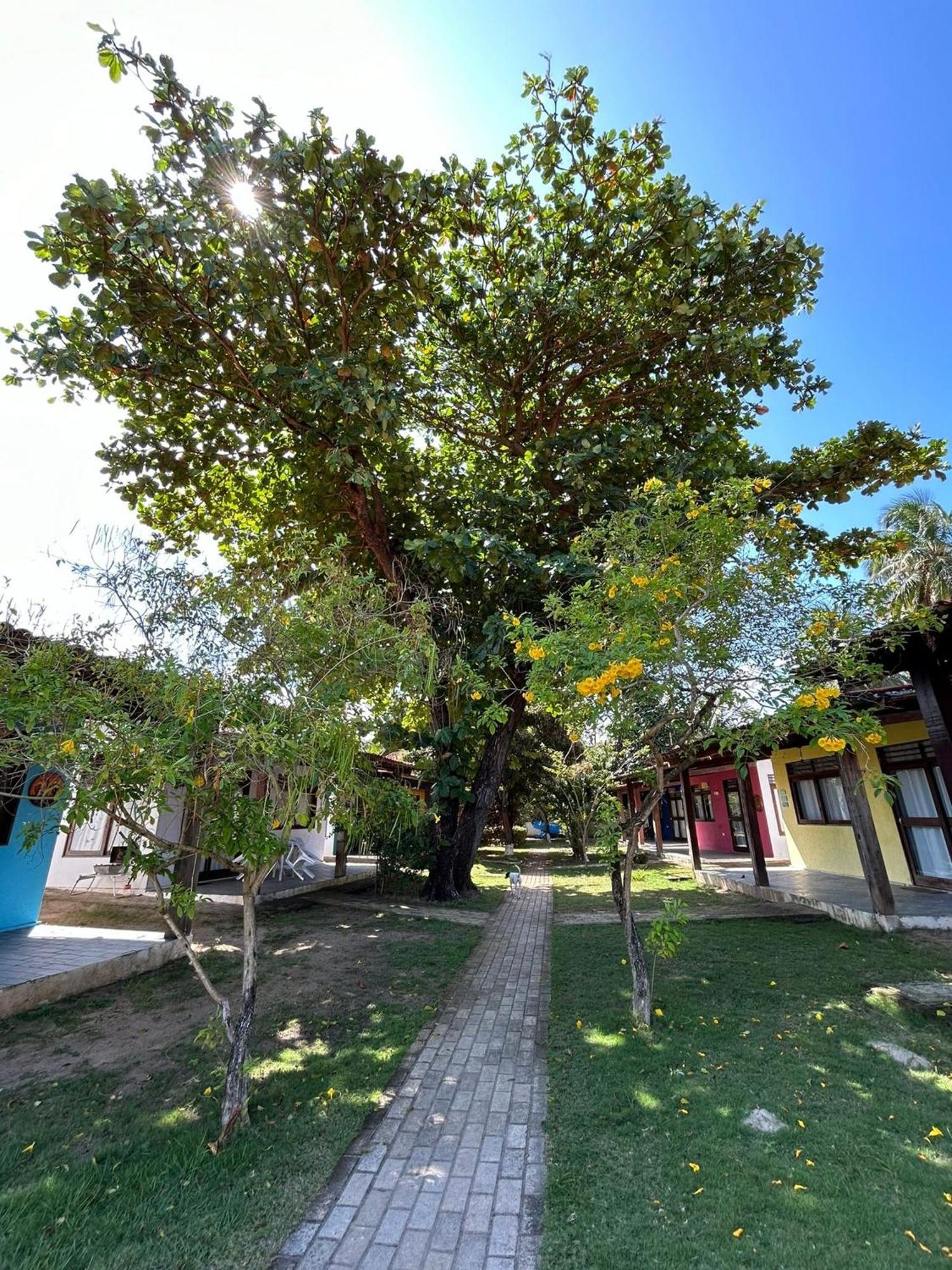 Chalés Praias Brasileiras Maragogi Esterno foto